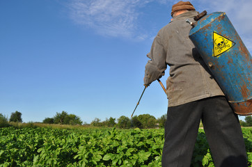 Мужчина опрыскивает картофель ядовитыми химикатами от колорадского жука