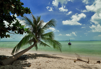 Tropical beach background. Palms and boat in the sea