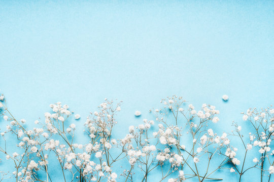 Fototapeta Little white Gypsophila flowers on blue background, pretty floral border, top view, copy space, horizontal