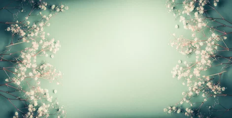 Abwaschbare Fototapete Blumen Hübsche kleine weiße Gypsophila-Blumen auf türkisgrünem Hintergrund, hübscher Blumenrahmen, Draufsicht, Kopierraum, Banner