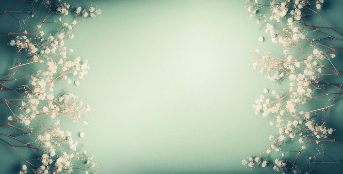Fototapeta Pretty Little white Gypsophila flowers on turquoise green background, pretty floral frame, top view, copy space, banner