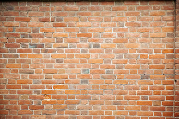 Old brick painted wall.
