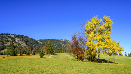 Herbst im Gebirge