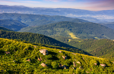 Fototapeta premium meadow with boulders in Carpathian mountains in summer