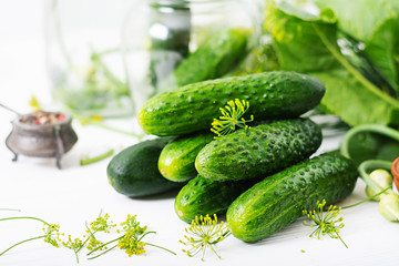 Preparation pickled marinated cucumbers, herbs and salt.