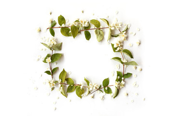 Flat lay border frame with white jasmine petals, flowers, buds and green branches on white...