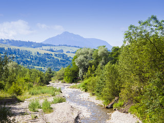 Fototapeta na wymiar mountain and water stream, summer landscape in Romanian Carpathians