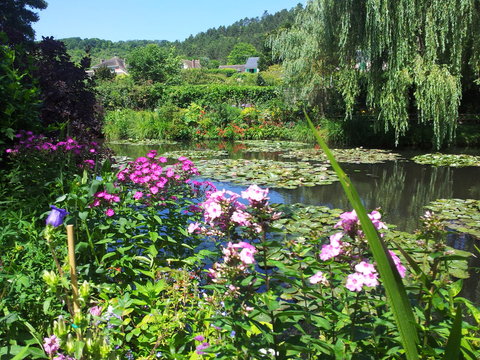 étang Aux Nymphéas De Claude Monet à Giverny