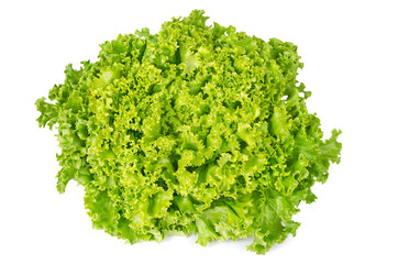 Obraz na płótnie Canvas Lollo Bianco lettuce front view on white background. Lollo Bionda, summer crisp variety of Lactuca sativa. Loose-leaf lettuce. Green salad head with frilly leafs and wavy leaf margin. Closeup photo.