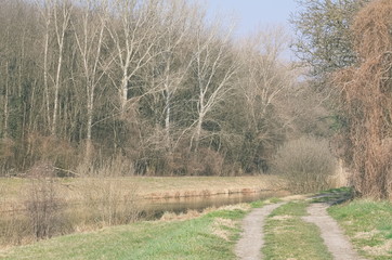 Dirt Road next to the River