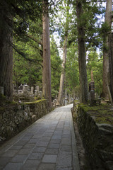 Fototapeta na wymiar A path through the Okunoin ancient Buddhist cemetery in Koyasan, Japan.