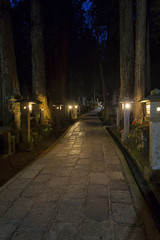 A path through the Okunoin at night in ancient Buddhist cemetery in Koyasan, Japan.