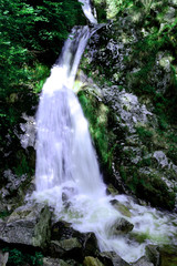 Obraz premium Alsace