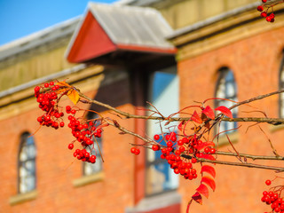 Old brick warehouse on Castlefield's channels. Castlefield, Manchester, England, United Kingdom