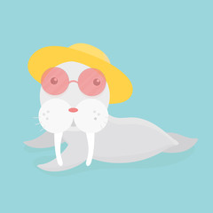 Obraz premium Cute sea lion.