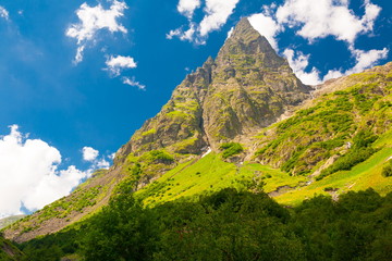 Obraz premium Mountain summer. Sunny day. Green forest and meadow