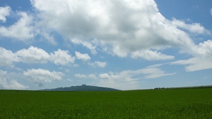 Fototapeta na wymiar 夏の北海道　草原風景