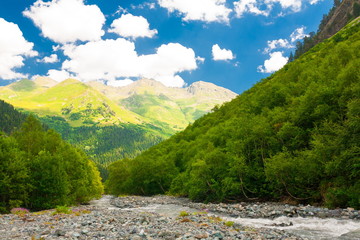 Mountain summer. Sunny day. Green forest and meadow