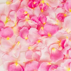Foto op Canvas Pink rose petals. Valentine's day background. Flat lay, top view © artifirsov