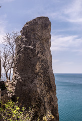 Old dry tree growing on a mountain slope. Amazing view on black sea near rocks in hot summer. Vacation, summer travel. Rocks in the Black Sea. Crimea