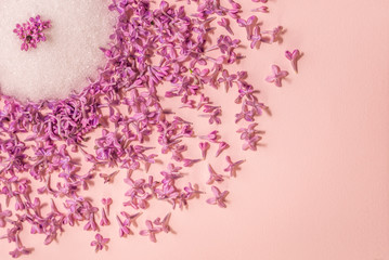 A circle of sugar and flowers of lilac. Background for a site design or landing page about food, health, flowers and spring. Layout on a pink background. A place for your inscriptions.