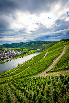 Zell (Cochem) - Germany