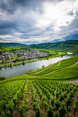 Obraz premium Zell (Cochem) - Germany