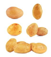 Collage of raw potatoes on white background