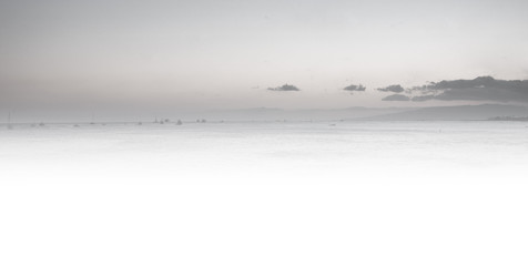 Blk N Wht Waikiki, Oahu