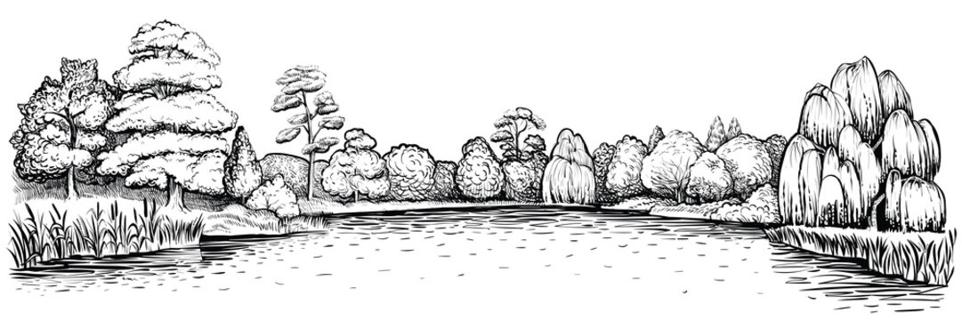 Panoramic landscape with forest and lake, vector hand drawn illustration.