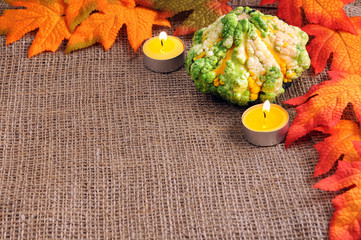 autumn decoration mini pumpkins
