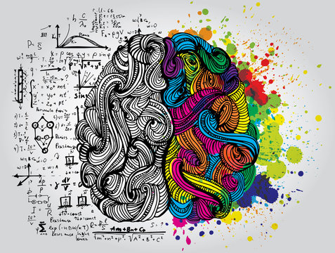 Left and right human brain. Creative half and logic half of human mind. Vector illustration.