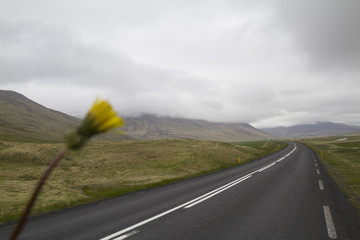 Icelandic route sourranded by muntains 