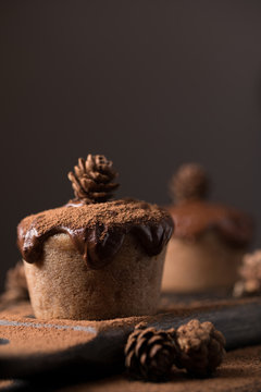 Chocolate muffins, decorated with a small cone on a dark wooden background. Cupcakes are poured with dark chocolate and cocoa powder. Cupcakes with unusual decoration. Low key
