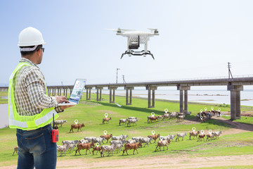 Technician farmer use computer control drone tracking the cow in smart farm, Technology 4.0 concept