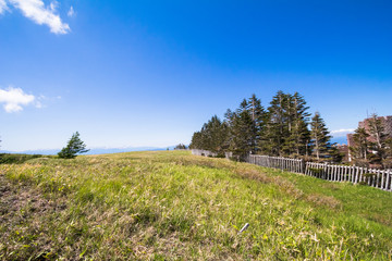 Fototapeta premium Beautiful landscape mountain and road view of Utsukushigahara is one of the most important and popular natural place , Japan.