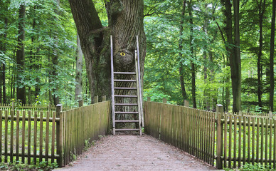 die ber&uuml;hmte Br&auml;utigamseiche bei Eutin mit eigener Postanschrift,Holsteinische Schweiz,Schleswig-Holstein,Deutschland