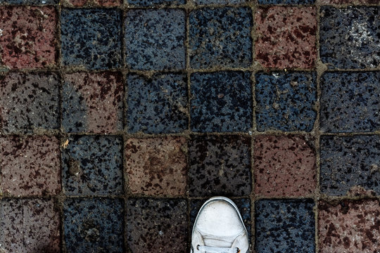 The old paving stones are wet after the rain.