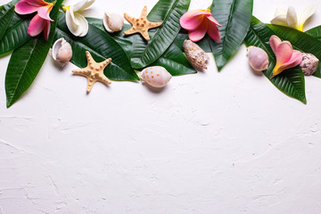 Border from bright tropical plumeria flowers and leaves on white textured background.