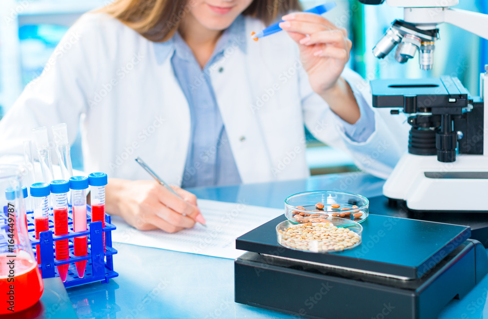 Wall mural Selective and genetic work with seeds and grains in a scientific laboratory. Food quality control