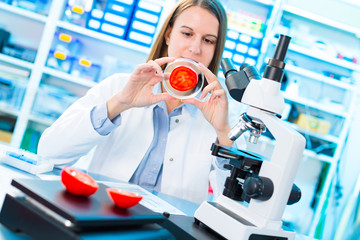Fototapeta premium Checking fruit and vegetables for harmful elements. Laboratory for Inspection of Food Quality