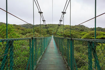 Obraz premium Suspension bridge in rainforest