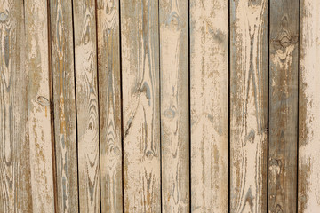 Fototapeta premium Old wooden texture, background.