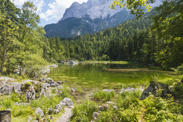 Lake Prillensee Near The Eibsee, Germany