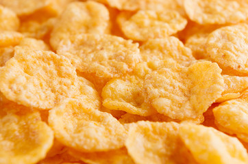 Golden corn flakes closeup background. Cereals texture.