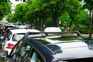 Taxi cars parked near sidewalk on street