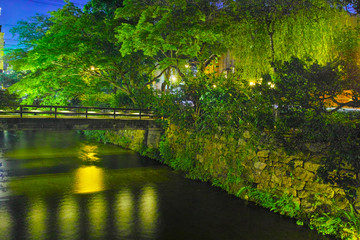 京都　祇園白川の夜景