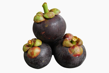 Purple mangosteen