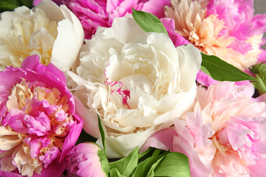 Bouquet of beautiful peony flowers, closeup