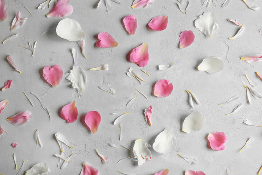 Fototapeta Petals of beautiful peony flowers on light textured background